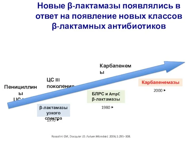 Новые β-лактамазы появлялись в ответ на появление новых классов β-лактамных антибиотиков