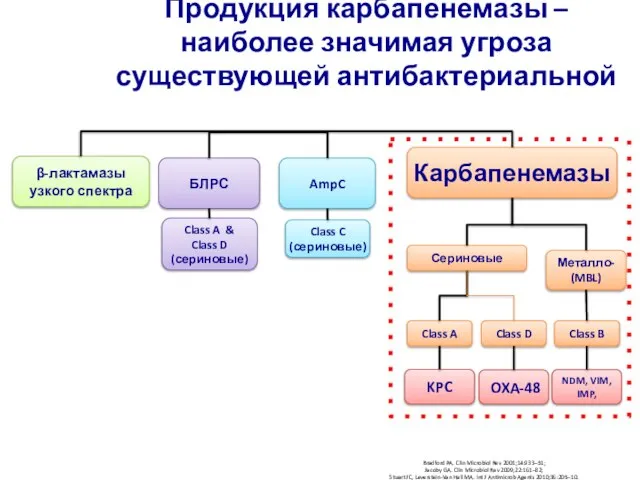 Продукция карбапенемазы – наиболее значимая угроза существующей антибактериальной Bradford PA. Clin