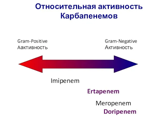 Относительная активность Карбапенемов Gram-Positive Aактивность Gram-Negative Активность Imipenem Ertapenem Meropenem Doripenem