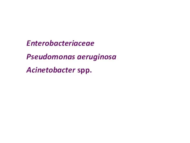 Enterobacteriaceae Pseudomonas aeruginosa Acinetobacter spp.