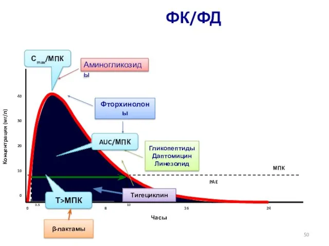 ФК/ФД β-лактамы AUC/МПК Сmax/МПК Т>МПК