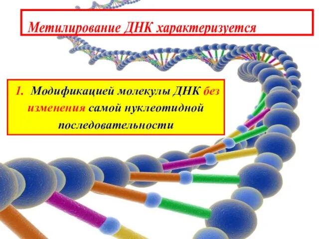 Метилирование ДНК характеризуется 1. Модификацией молекулы ДНК без изменения самой нуклеотидной последовательности