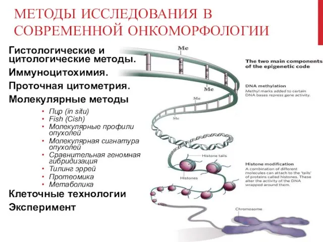 МЕТОДЫ ИССЛЕДОВАНИЯ В СОВРЕМЕННОЙ ОНКОМОРФОЛОГИИ Гистологические и цитологические методы. Иммуноцитохимия. Проточная