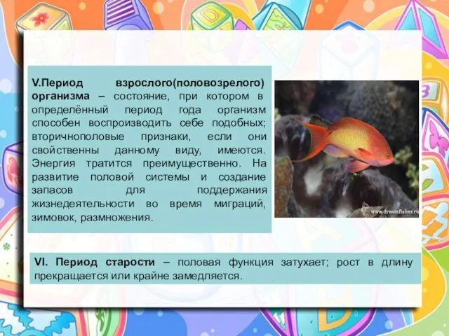 V.Период взрослого(половозрелого)организма – состояние, при котором в определённый период года организм