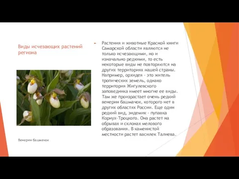 Виды исчезающих растений региона Растения и животные Красной книги Самарской области