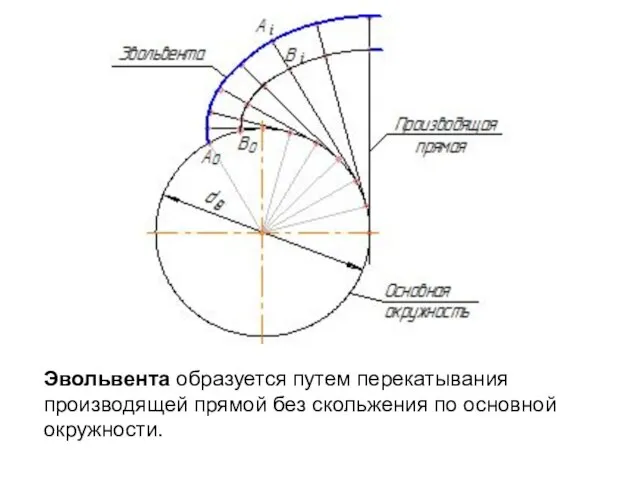 Эвольвента образуется путем перекатывания производящей прямой без скольжения по основной окружности.