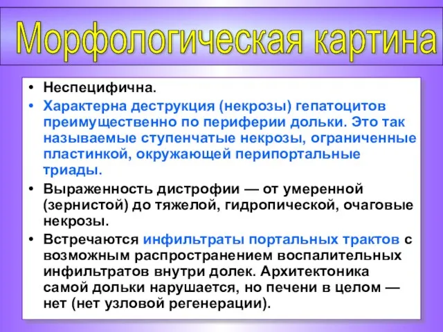 Неспецифична. Характерна деструкция (некрозы) гепатоцитов преимущественно по периферии дольки. Это так