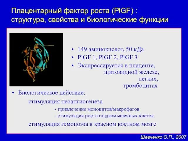 Плацентарный фактор роста (PlGF) : структура, свойства и биологические функции 149