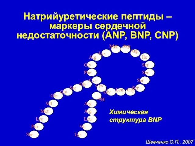 Натрийуретические пептиды – маркеры сердечной недостаточности (ANP, BNP, CNP) Met Asp