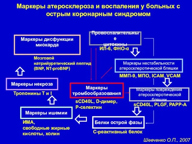 Маркеры атеросклероза и воспаления у больных с острым коронарным синдромом Маркеры