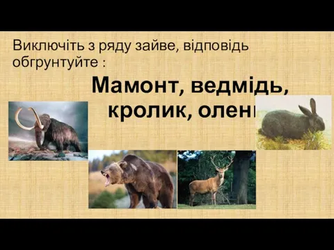 Виключіть з ряду зайве, відповідь обгрунтуйте : Мамонт, ведмідь, кролик, олень.