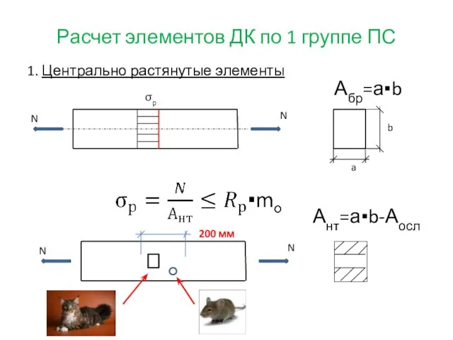 Расчет элементов ДК по 1 группе ПС 1. Центрально растянутые элементы