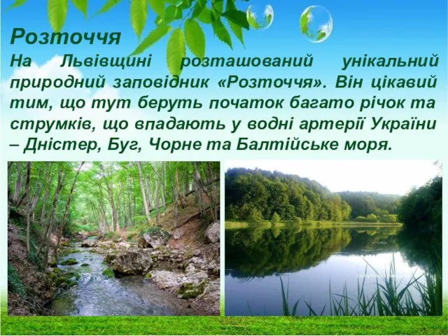 Розточчя На Львівщині розташований унікальний природний заповідник «Розточчя». Він цікавий тим,