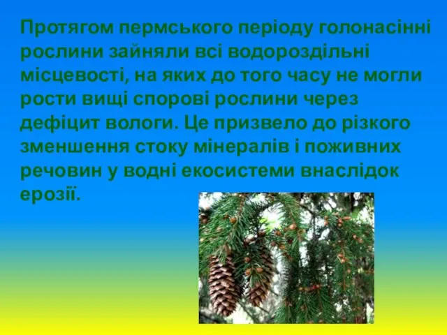 Протягом пермського періоду голонасінні рослини зайняли всі водороздільні місцевості, на яких