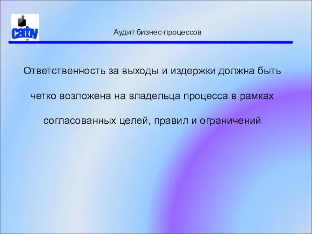 Аудит бизнес-процессов Ответственность за выходы и издержки должна быть четко возложена