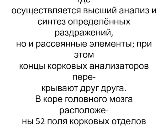 В корковом отделе анализаторов представлены не только их ядра, где осуществляется