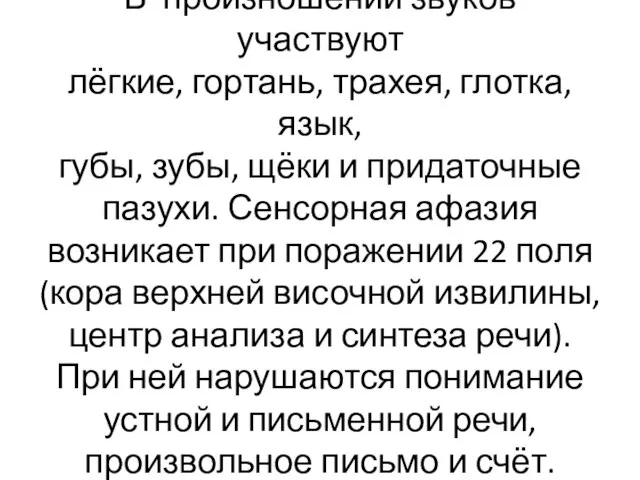 В произношении звуков участвуют лёгкие, гортань, трахея, глотка, язык, губы, зубы,