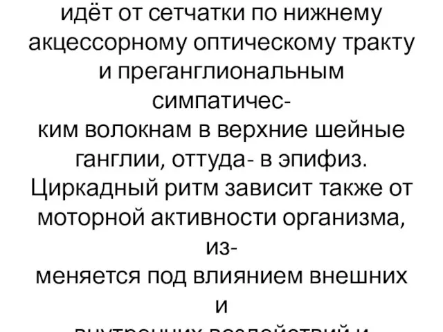 У млекопитающих сигнал в ответ на световое раздражение глаза идёт от