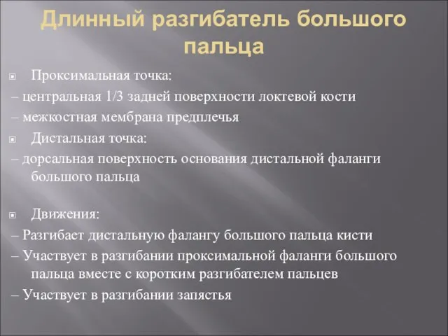 Длинный разгибатель большого пальца Проксимальная точка: – центральная 1/3 задней поверхности