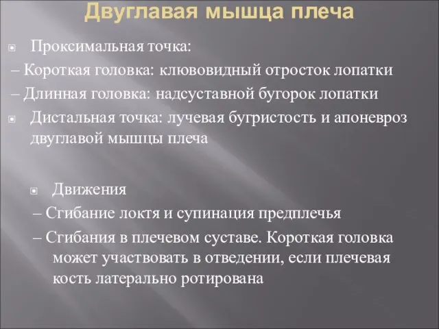 Двуглавая мышца плеча Проксимальная точка: – Короткая головка: клювовидный отросток лопатки