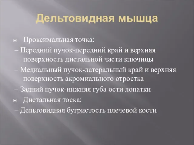 Дельтовидная мышца Проксимальная точка: – Передний пучок-передний край и верхняя поверхность