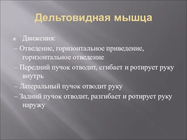 Дельтовидная мышца Движения: – Отведение, горизонтальное приведение, горизонтальное отведение – Передний