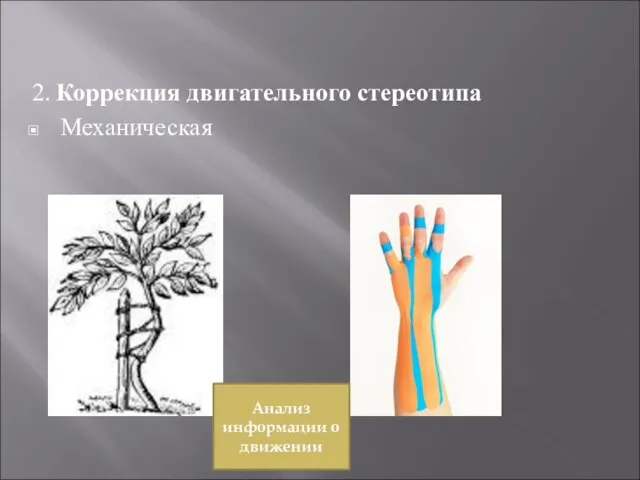 2. Коррекция двигательного стереотипа Механическая Анализ информации о движении