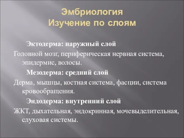 Эмбриология Изучение по слоям Эктодерма: наружный слой Головной мозг, периферическая нервная