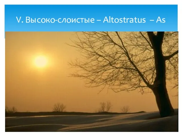 V. Высоко-слоистые – Altostratus – As