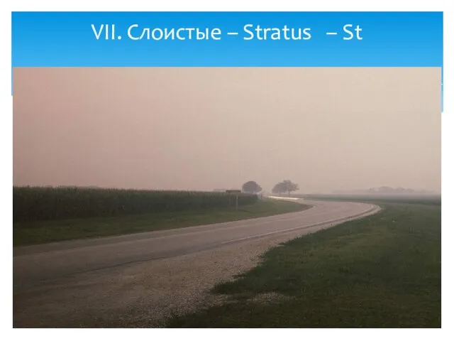 VII. Слоистые – Stratus – St