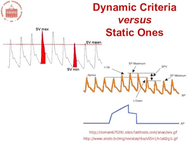 http://domain675291.sites.fasthosts.com/anae/svv.gif http://www.scielo.br/img/revistas/rba/v55n1/n1a02g1i.gif Dynamic Criteria versus Static Ones