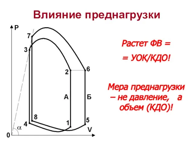 Влияние преднагрузки Растет ФВ = = УОК/КДО! Мера преднагрузки – не давление, а объем (КДО)!