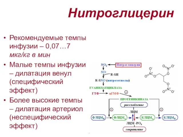 Нитроглицерин Рекомендуемые темпы инфузии – 0,07…7 мкг/кг в мин Малые темпы