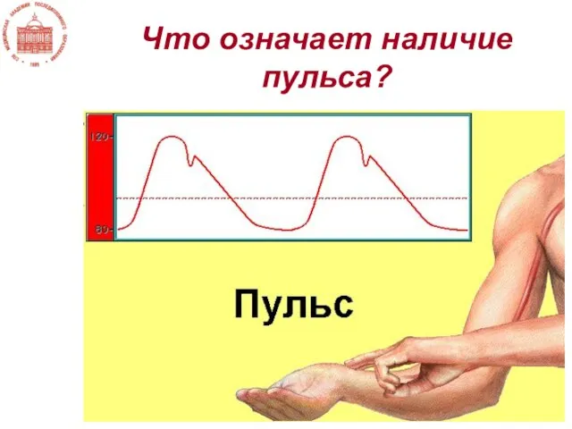 Что означает наличие пульса?