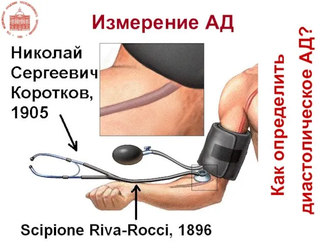 Измерение АД Как определить диастолическое АД?