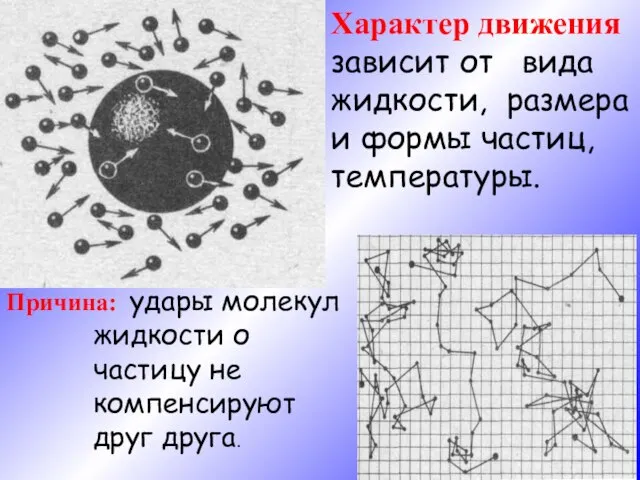 Причина: удары молекул жидкости о частицу не компенсируют друг друга. Характер