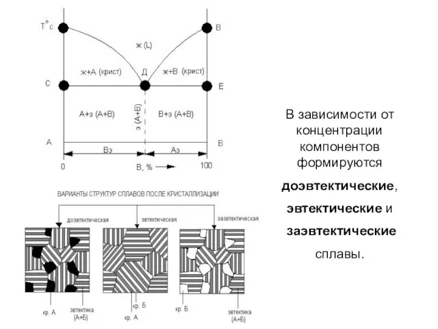 В зависимости от концентрации компонентов формируются доэвтектические, эвтектические и заэвтектические сплавы.