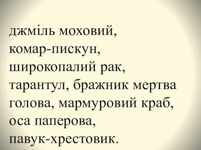 джміль моховий, комар-пискун, широкопалий рак, тарантул, бражник мертва голова, мармуровий краб, оса паперова, павук-хрестовик.