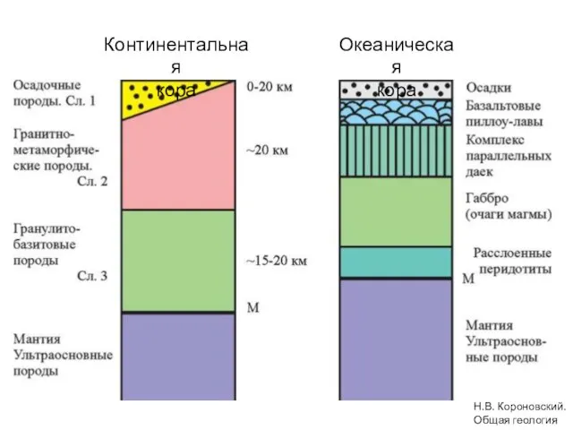 Континентальная кора Океаническая кора Н.В. Короновский. Общая геология