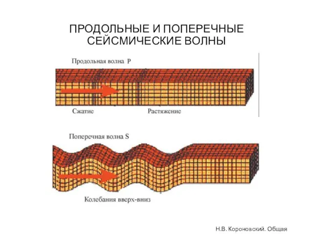 ПРОДОЛЬНЫЕ И ПОПЕРЕЧНЫЕ СЕЙСМИЧЕСКИЕ ВОЛНЫ Н.В. Короновский. Общая геология