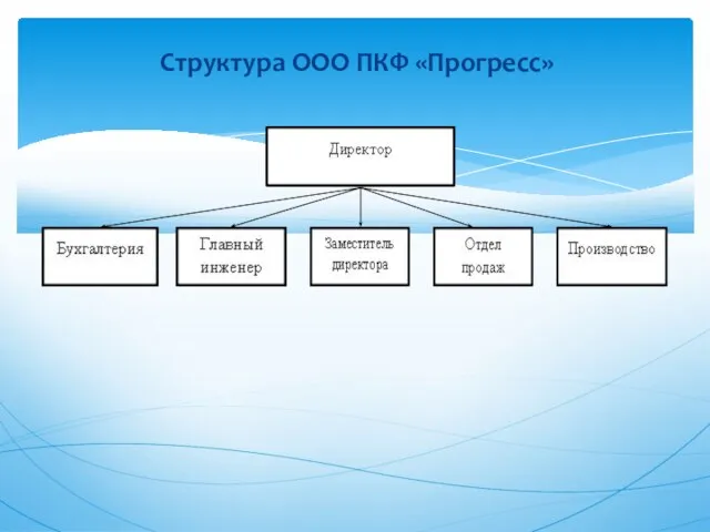 Структура ООО ПКФ «Прогресс»