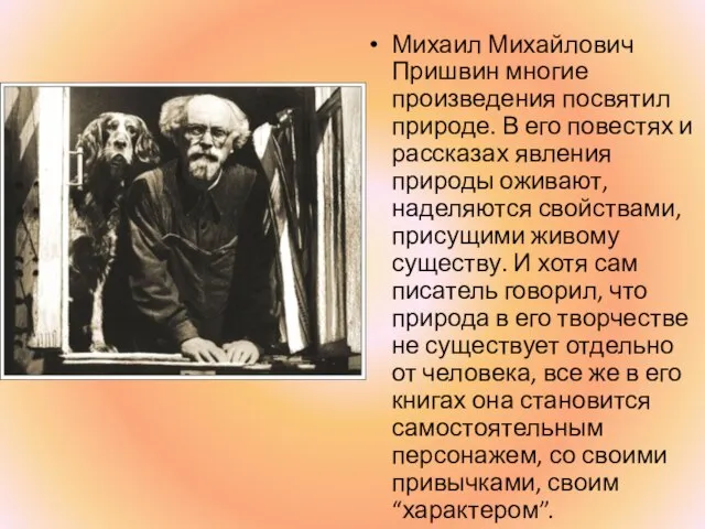 Михаил Михайлович Пришвин многие произведения посвятил природе. В его повестях и