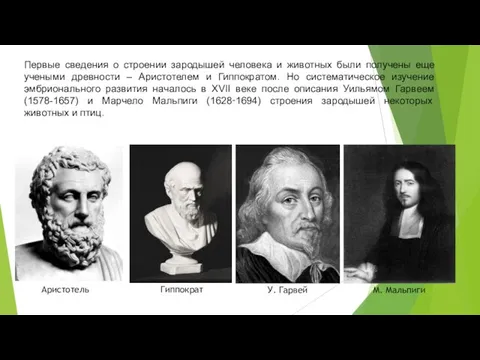 Первые сведения о строении зародышей человека и животных были получены еще