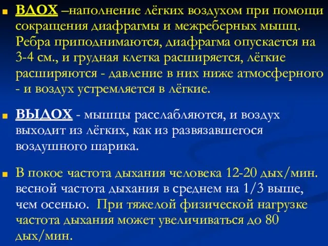 ВДОХ –наполнение лёгких воздухом при помощи сокращения диафрагмы и межреберных мышц.