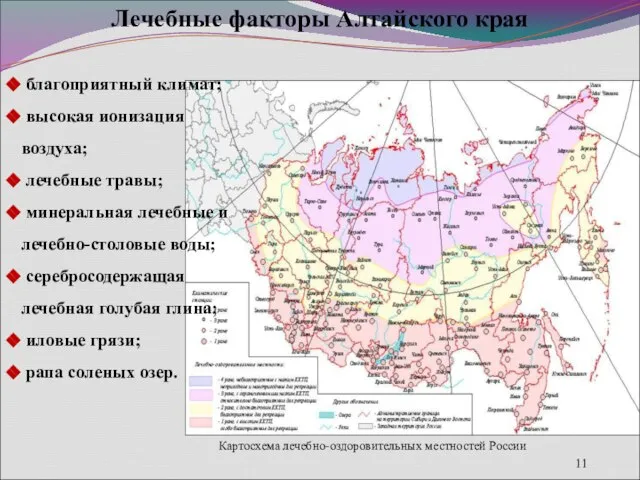 Лечебные факторы Алтайского края благоприятный климат; высокая ионизация воздуха; лечебные травы;