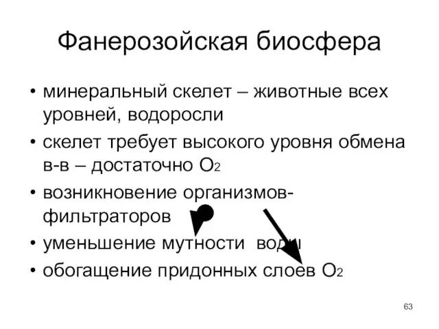 Фанерозойская биосфера минеральный скелет – животные всех уровней, водоросли скелет требует