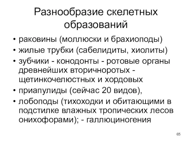 Разнообразие скелетных образований раковины (моллюски и брахиоподы) жилые трубки (сабелидиты, хиолиты)