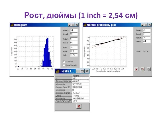 Рост, дюймы (1 inch = 2,54 см)