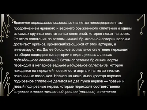 Брюшное аортальное сплетение является непосредственным продолжением чревного и верхнего брыжеечного сплетений