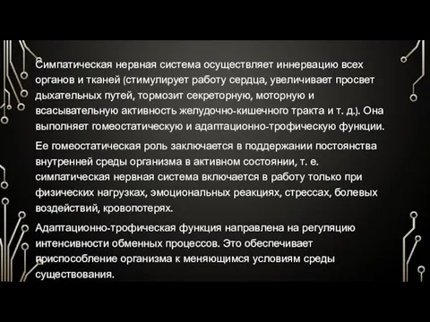 Симпатическая нервная система осуществляет иннервацию всех органов и тканей (стимулирует работу